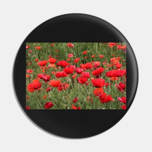 Poppy community,  a family Pin