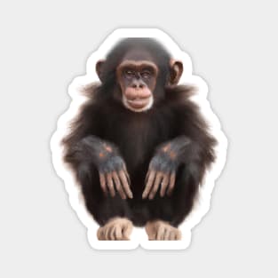 Cute Chimpanzee Drawing Magnet