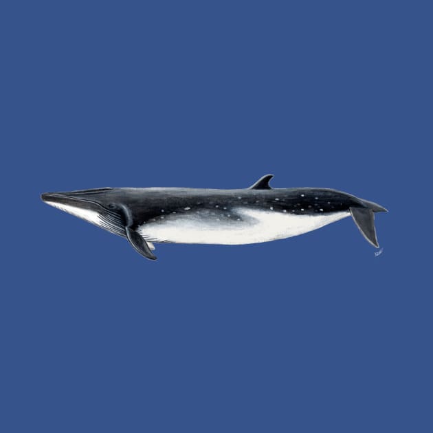 Bryde´s whale by chloeyzoard