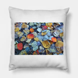 Fallen Leaves Pillow