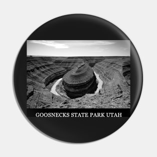 Gossenecks State Park Utah Pin