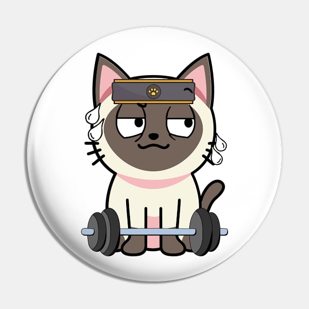 Cute siamese cat is exercising Pin by Pet Station