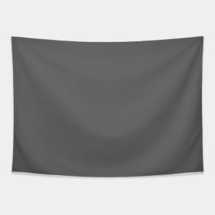 Grey Plain Solid Color Tapestry