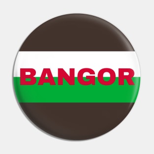 Bangor City in Wales Flag Pin