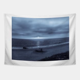 Texas Beach -  Blue Tapestry