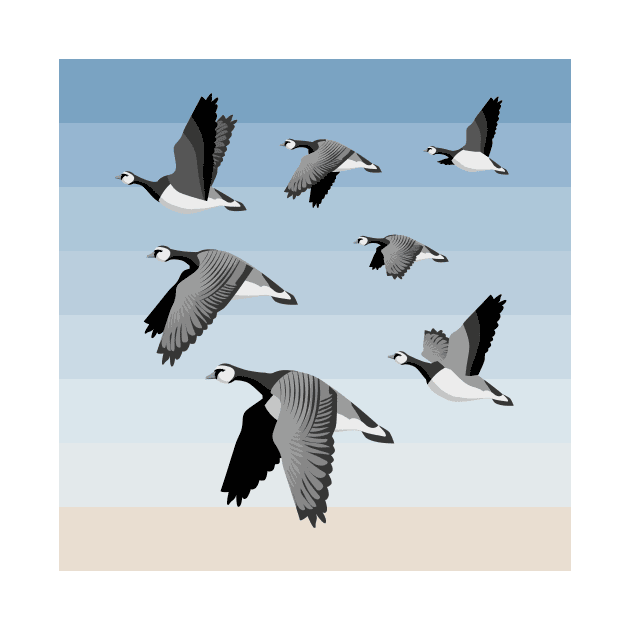 Barnacle goose flock by Zolinstudio