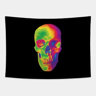 Rainbow Skull Tapestry