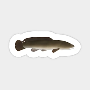 Bowfin Magnet