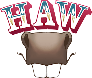 HAW Donkey Magnet