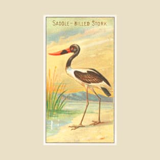 Saddle-Billed Stork T-Shirt