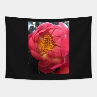 Outrageous Pink Peony Tapestry