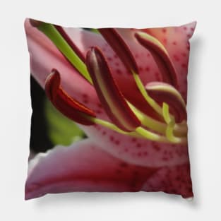 Beautiful photograph of lily flower Pillow