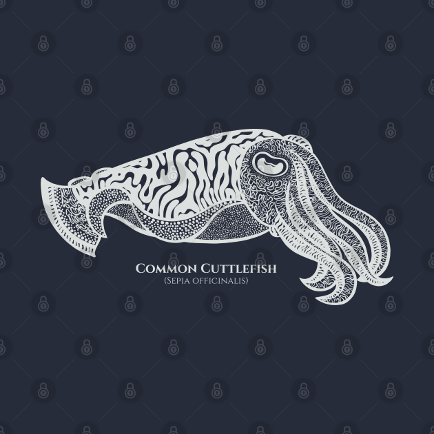 Discover Cuttlefish with Common and Latin Names - dark colors - Cuttlefish - T-Shirt