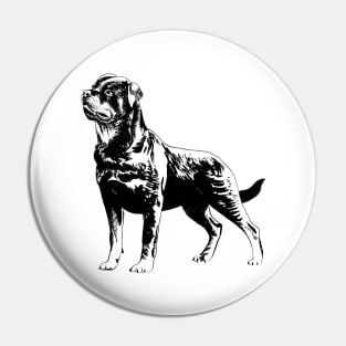 rottweiler portrait Pin