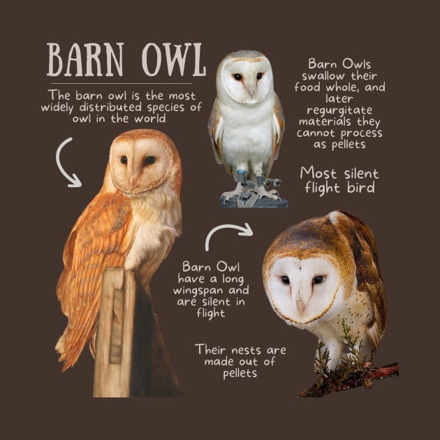 Animal Facts - Barn Owl by Animal Facts and Trivias