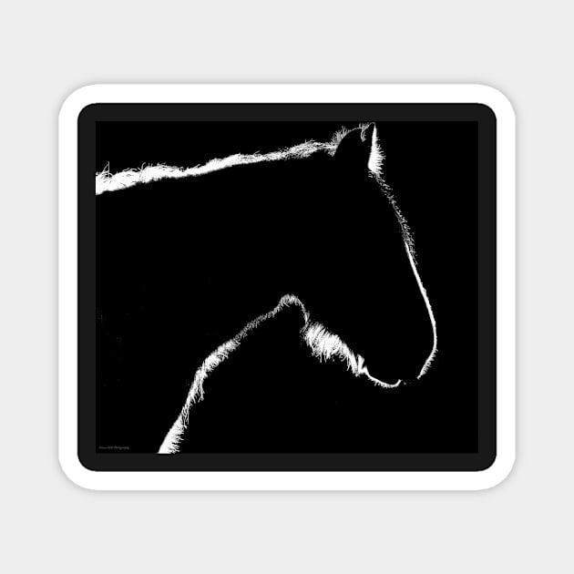 Horse silhouette Magnet by Simon-dell