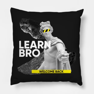 Learn Bro - Welcome back Pillow