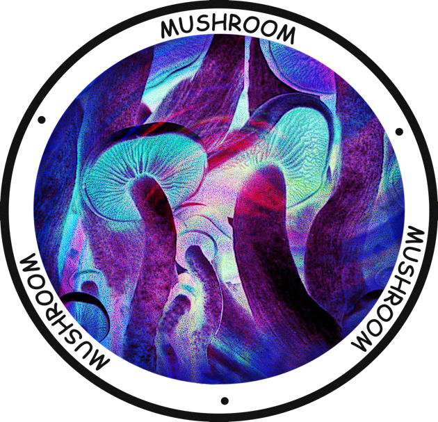 Psychedelic Mushroom Mania Kids T-Shirt by Meiyorrr