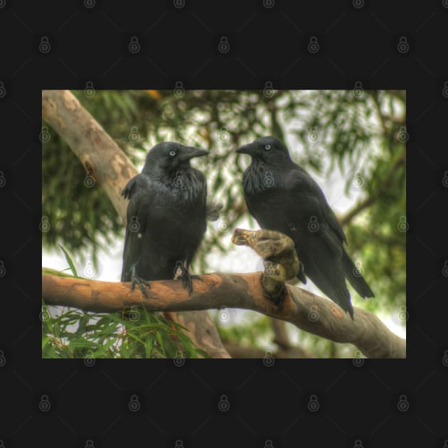 Crows At A Branch Meeting by Michaelm43