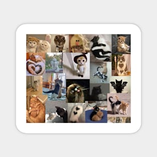 cats aesthetic collage Magnet