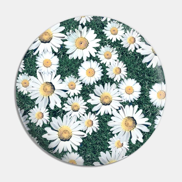 Daisy Blossom Seamless Pattern with Grass. Meadow Pin by ilhnklv