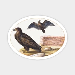 Two Eagles (1575–1580) Magnet