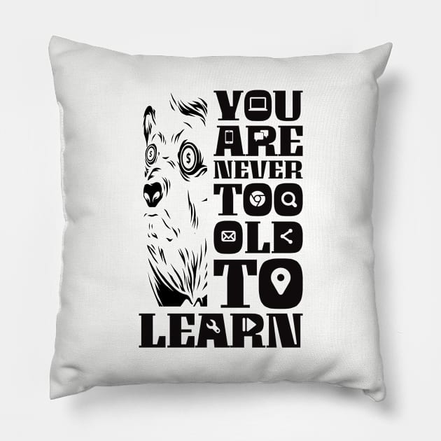 Online learning Pillow by RStees22