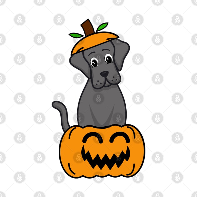 Cute Big Dog is in a pumpkin by Pet Station