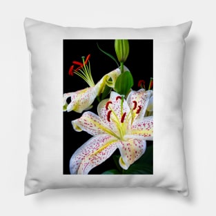 Wonderful Close Up Of Sonata Three Stem lily Pillow