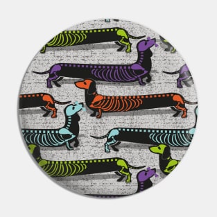 Spooktacular long dachshunds skeleton // light grey background multicoloured dog bones Pin