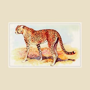 Cheetah illustration T-Shirt