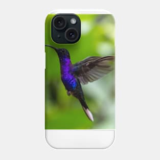 Purple Hummingbird Flying in Greenery Phone Case