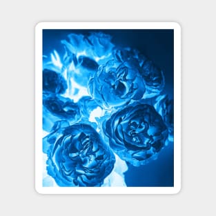 Cyanotype Photography Blue Roses Alternative Process Magnet