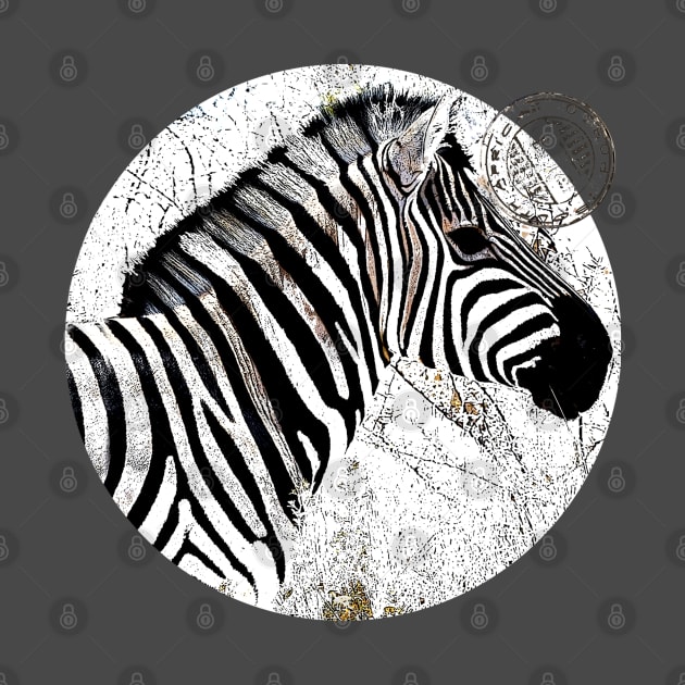 Zebra with postmark by Againstallodds68