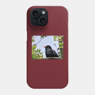 Merle - blackbird   03 (c)(t) by Olao-Olavia / Okaio Créations panasonic fz 200 (1200 mm) mai 2013 Phone Case