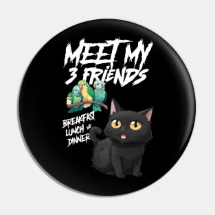 Meet my 3 friends, breakfast, lunch and dinner Pin