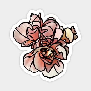 Cottage Core, Pink Orange Hibiscus Flower Magnet