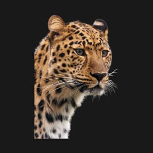 leopard photography T-Shirt