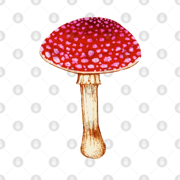 Watercolor Amanita Mushroom by Skye Rain Art by Skye Rain Art