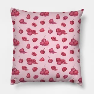 Juicy Raspberry on pink Pillow