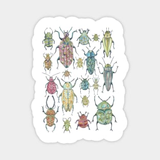 Bugs Magnet