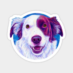 Colorful Red and White Border Collie Dog Magnet
