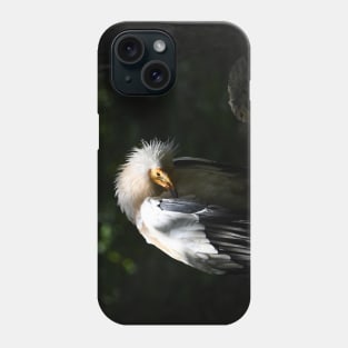 Egyptian Vulture Phone Case