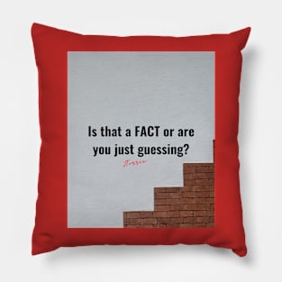 Just the FACTs Pillow