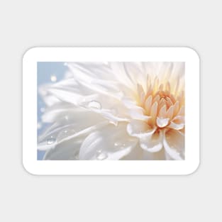 Chrysanthemum Flower Petal Nature Serene Magnet