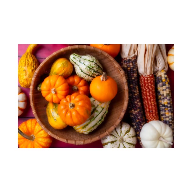 Wonderful Basket Full Of Small Pumpkins And Gourds by photogarry