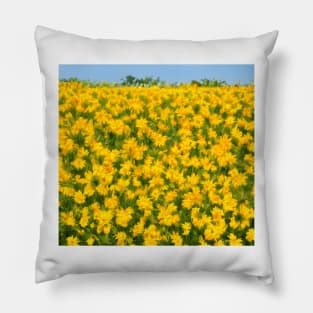 Yellow Spring Flowers Pillow