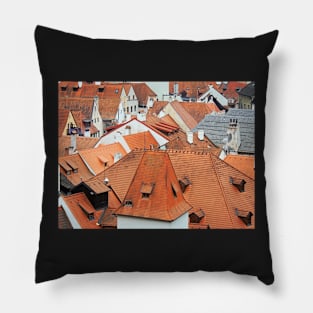 Roof Maze Pillow