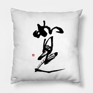 As It Is 如是 Japanese Calligraphy Kanji Character Pillow