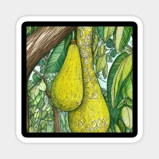 Jackfruit drawing Magnet